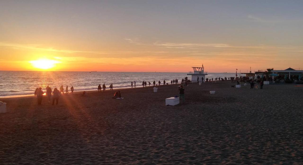 From Ostia Beach To Rome & Airport In A Heartbeat! Екстериор снимка